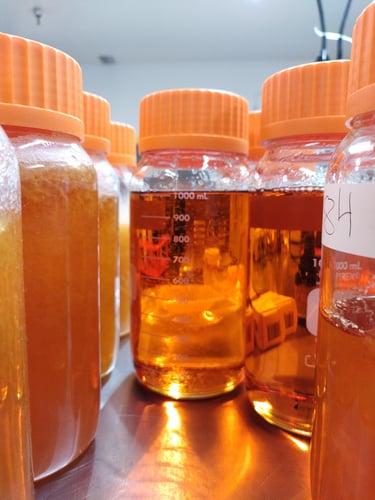 extract